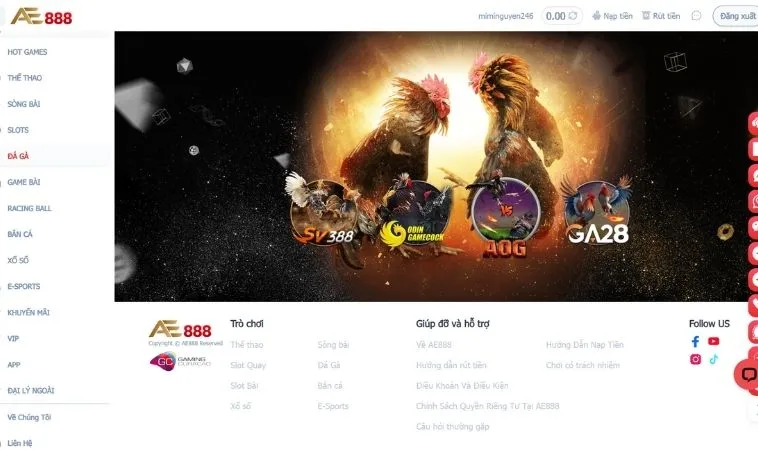 Sảnh đá gà AE888 thiết kế giao diện đẹp, chuyên nghiệp