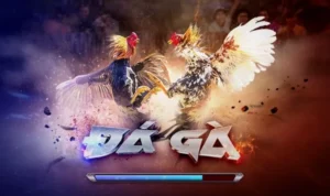 Đá Gà 3D Tại AE888