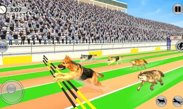 Bí Quyết Soi Kèo Đua Chó AE888 Bất Bại Từ Chuyên Gia 2 Cách chơi game nhanh Đua Chó AE888