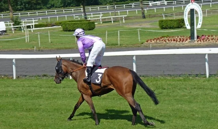 Khám Phá Đua Ngựa AE888 Bí Quyết Chinh Phục Mọi Đường Đua 2 Cần tìm hiểu kỹ về bộ môn Đua Ngựa AE888 trước khi tham gia cá cược