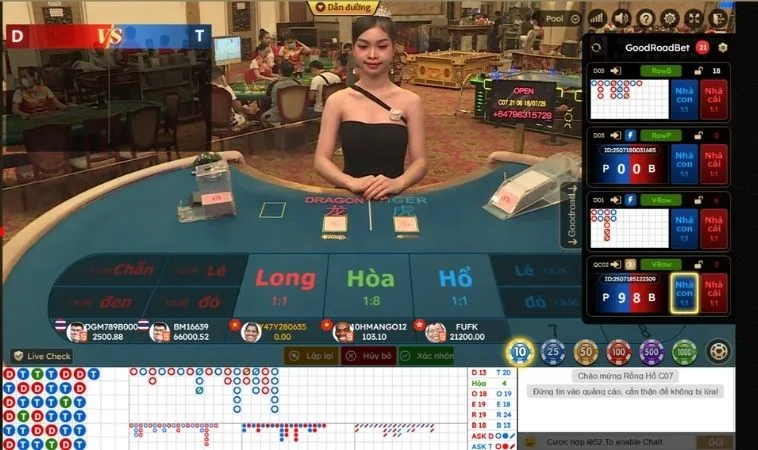 Các cửa cược trong Dragon Tiger AE888