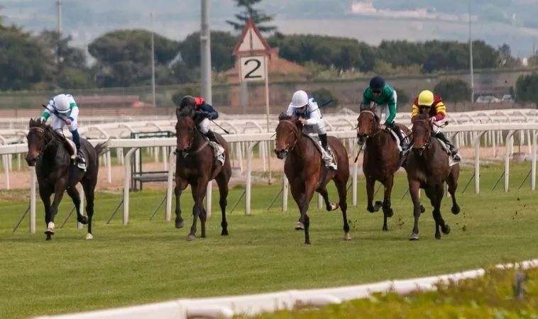 Khám Phá Đua Ngựa AE888 Bí Quyết Chinh Phục Mọi Đường Đua 1 Đua Ngựa AE888